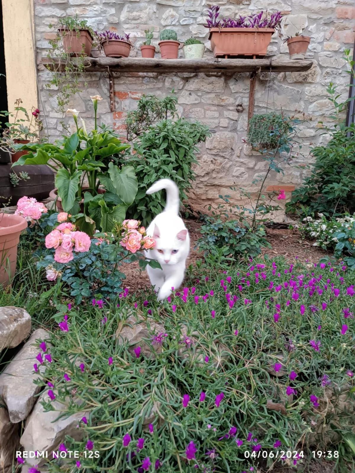 La Casa Dei Breton Daire Magione Dış mekan fotoğraf
