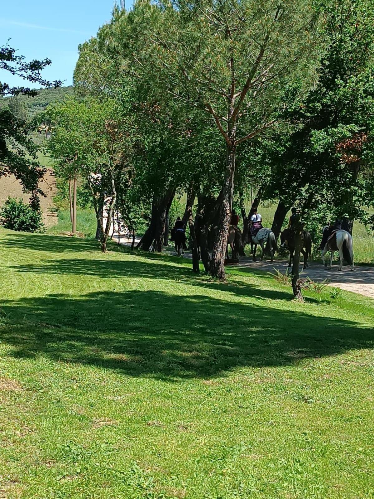 La Casa Dei Breton Daire Magione Dış mekan fotoğraf